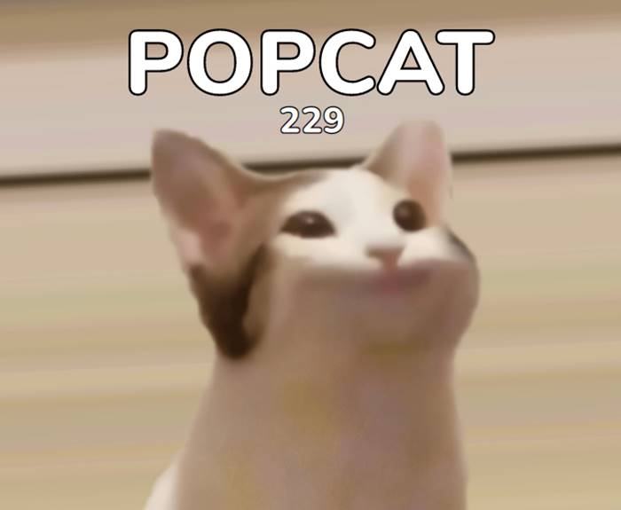 Popcat ไทยยิ่งกว่ามงลง ไม่ใช่แค่คลิกขำ ๆ แต่ยังดันผู้พัฒนา ...