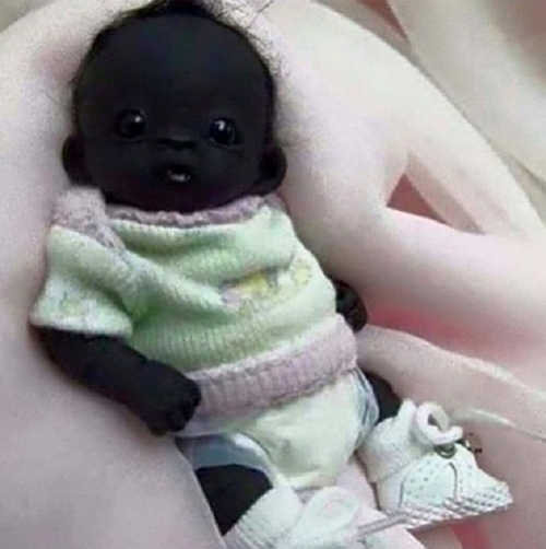 ฟันธง ! ภาพทารกตัวดำที่สุดในโลก แค่ตุ๊กตาเลียนแบบคน 