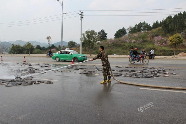 ผงะเลย ปลาดุกนับพันแหวกว่ายบนถนน มันเกิดขึ้นได้ไงนี่