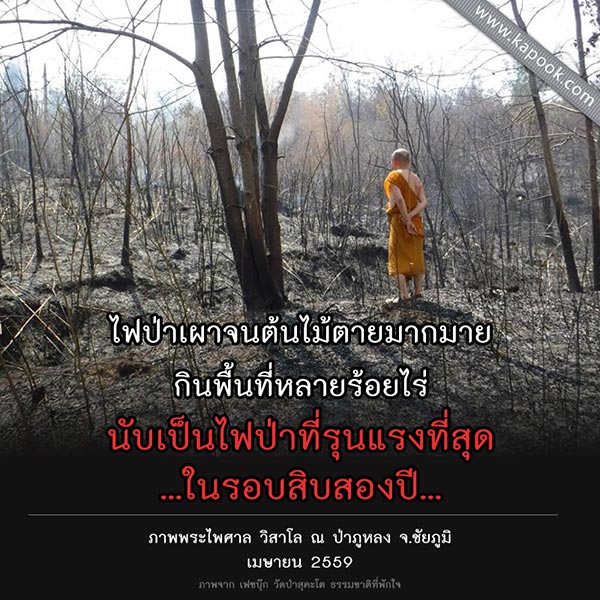 My Image 33