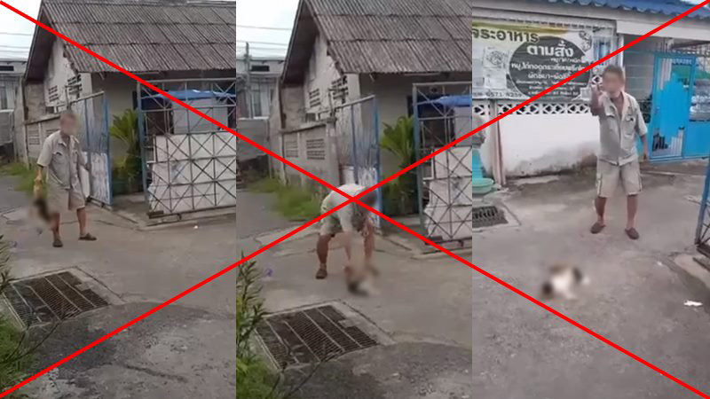 ลุงเล่านาทีจับแมวฟาดเสาจนตาย 