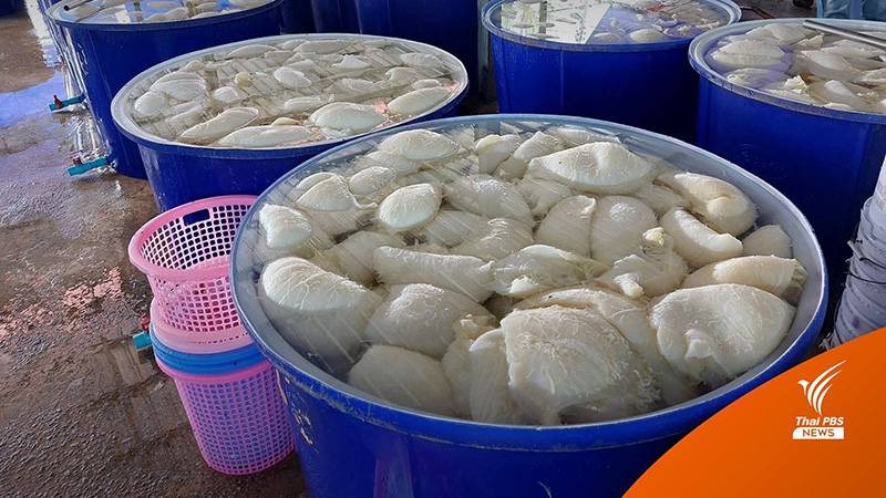หมูแช่ฟอร์มาลีนส่งขายร้านหมูกระทะ
