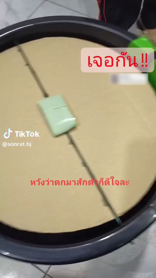 DIY ถังกับดักหนู หวังตกมาสักตัว 