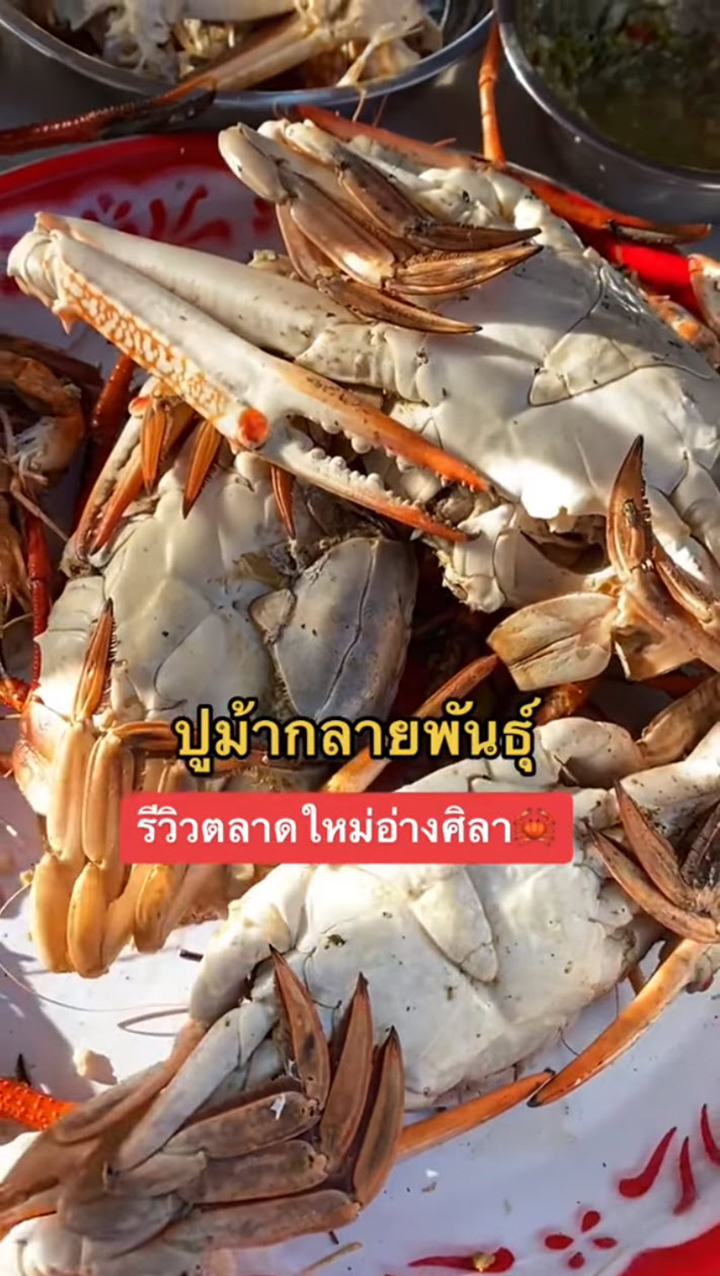 สาวรีวิวซื้อปูม้า เลือกตัวเมียไข่แน่น ๆ ฝากร้านไว้