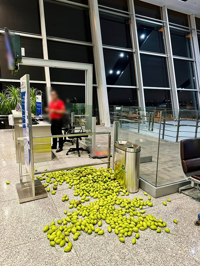 Mangoes were left all over the airport floor.