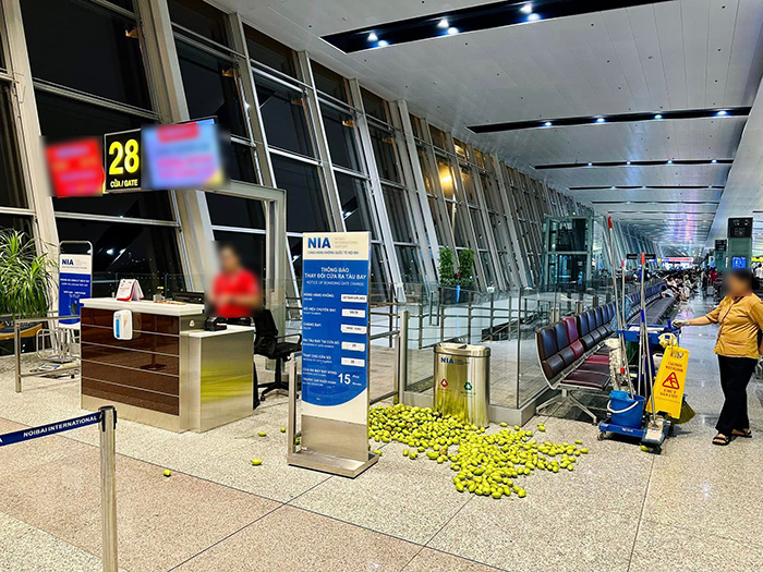 Mangoes were left all over the airport floor.
