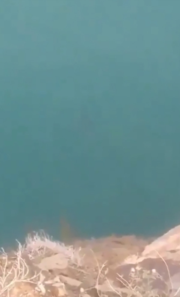 A young man, 18 years old, records a video of himself jumping into the lake