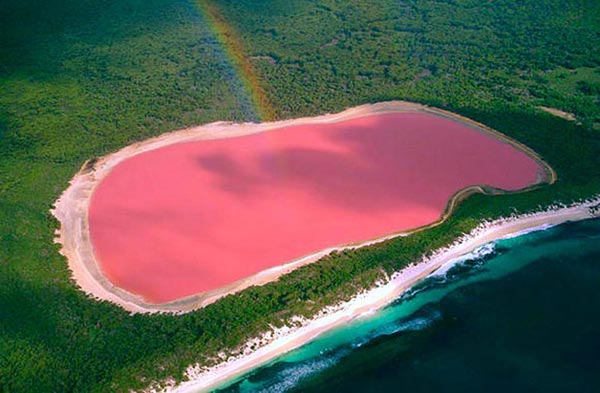 ปรากฏการณ์น่าทึ่ง เลค ฮิลเลอร์ ทะเลสาบสีชมพูในออสเตรเลีย