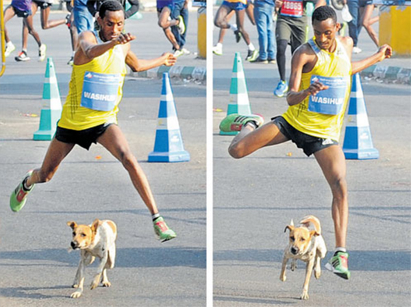นักวิ่งมาราธอนสุดซวย ชวดที่ 1 เพราะถูกสุนัขจรจัดวิ่งไล่กัดก่อนเข้าเส้นชัย