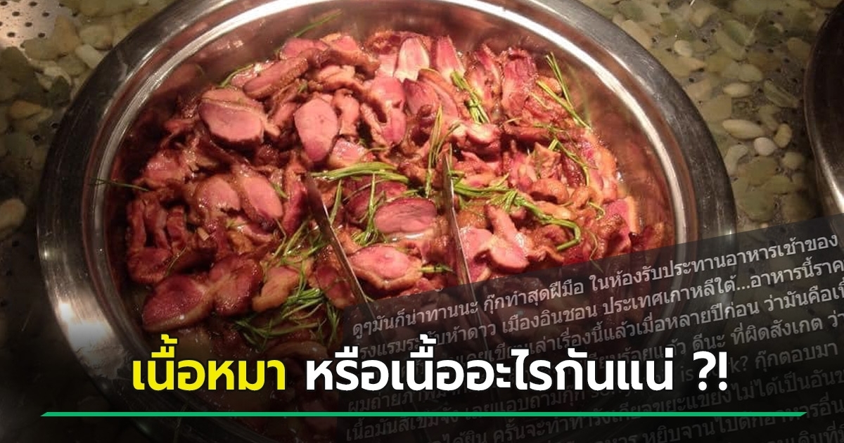 Controversial Menu: The Viral Photo of Dog Meat in a 5-Star Hotel in Korea