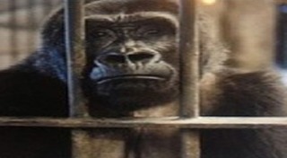 ห้างพาต้า ปิ่นเกล้า