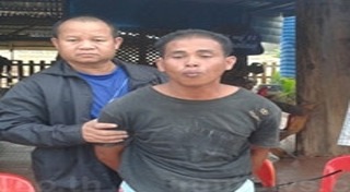 หนุ่ย ติ๊งต่าง