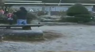 แม่คะนิ้ง