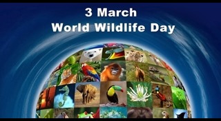 วันสัตว์ป่าและพืชป่าโลก