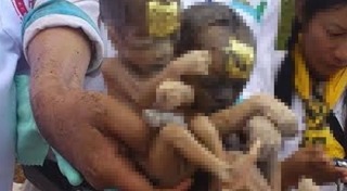 ล้างป่าช้า