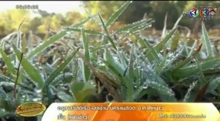 แม่คะนิ้ง