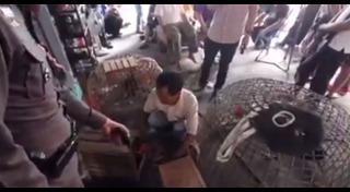 บ่อนไก่