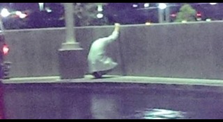 จรรยาบรรณแพทย์