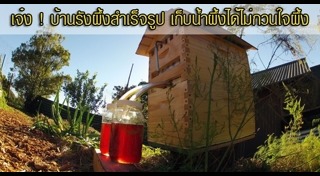 รังผึ้ง