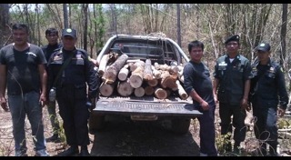 สวนปาล์ม