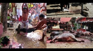 บูชาพระแม่กาลี