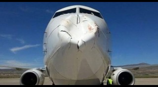 เครื่องบินชนนก