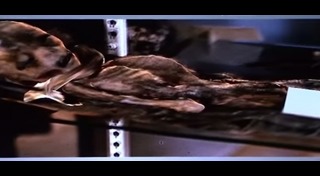 สิ่งมีชีวิตนอกโลก