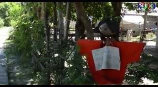 ผีแม่ม่าย