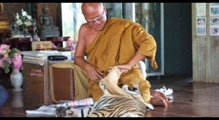 หลวงตาจันทร์