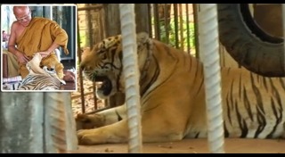 หลวงตาจันทร์