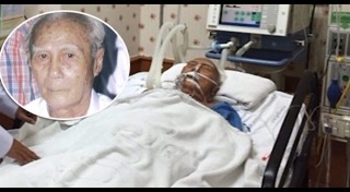 เสือใบ จอมโจรในตำนาน