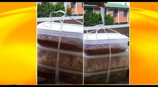 กล่องโฟม