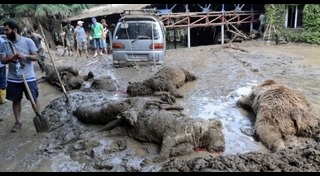 จอร์เจีย