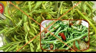 ข้อมูลเท็จ