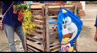 แห่นางแมว