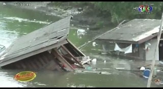 หิ่งห้อย