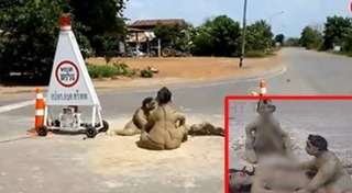 แห่นางแมว