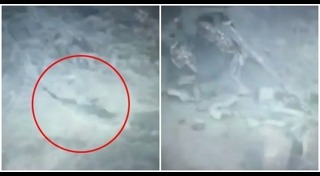 เฮลิคอปเตอร์ชนกัน