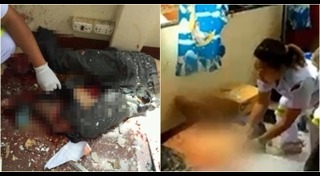 มหาวิทยาลัยแม่โจ้