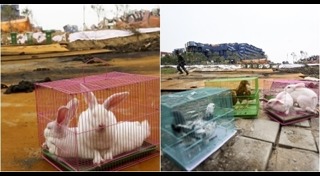 ระเบิดท่าเรือ