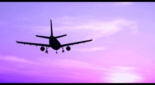 เครื่องบินชนนก