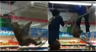 ร้านเซเว่น