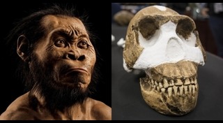 มนุษย์โบราณ