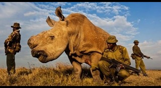 นักล่าสัตว์