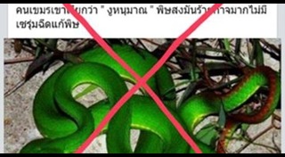 งูเขียวหางไหม้