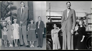 คนสูงที่สุด