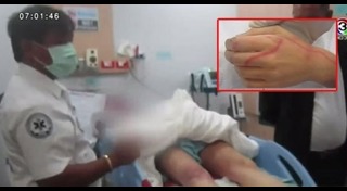 แมงกะพรุนกล่อง