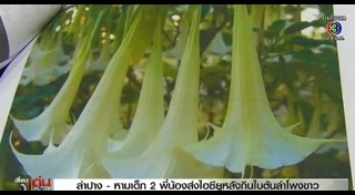 พืชมีพิษ