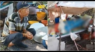 ลูกไล่แม่