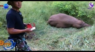 เขื่อนศรีนครินทร์